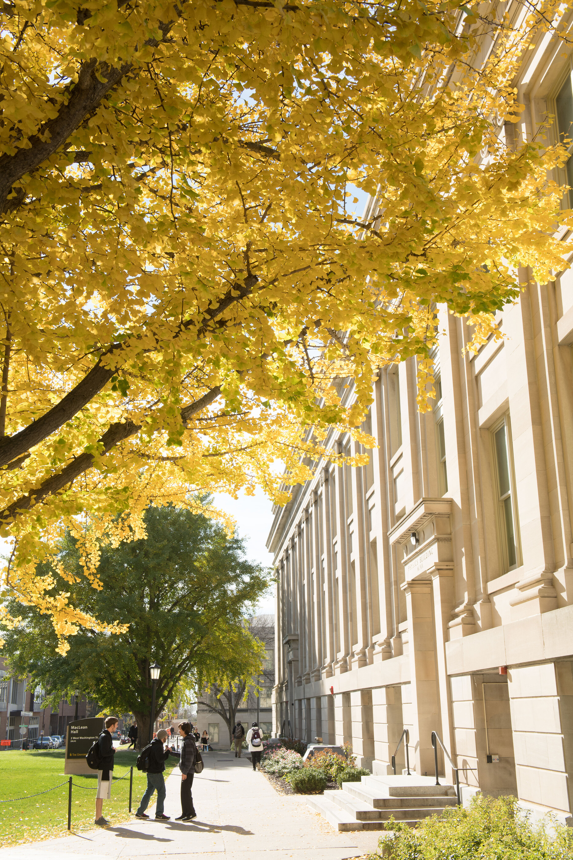 Fall campus scene in front of MacClean Hall at the University of Iowa