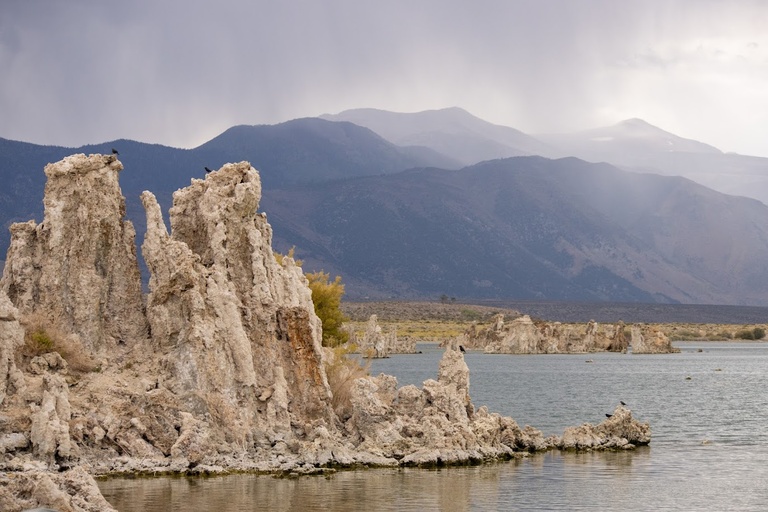Tufa towers in Mono Lake