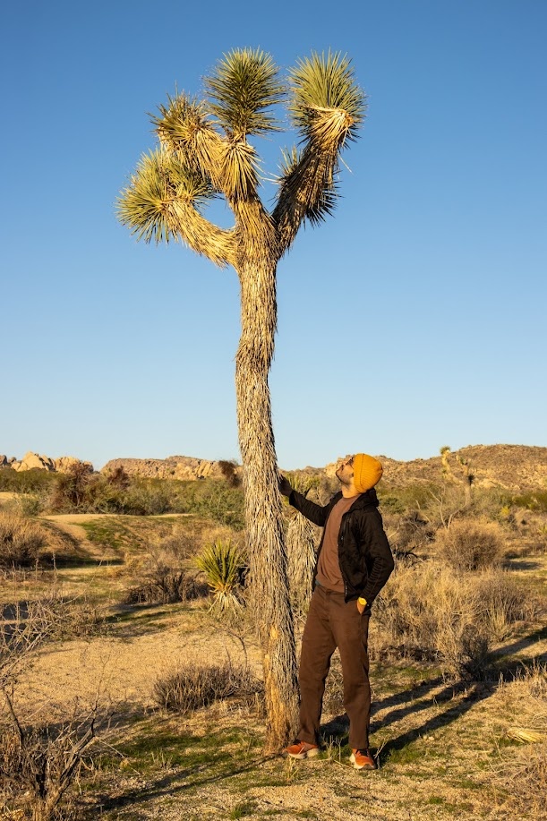 Hussam having a moment with a Joshua Tree
