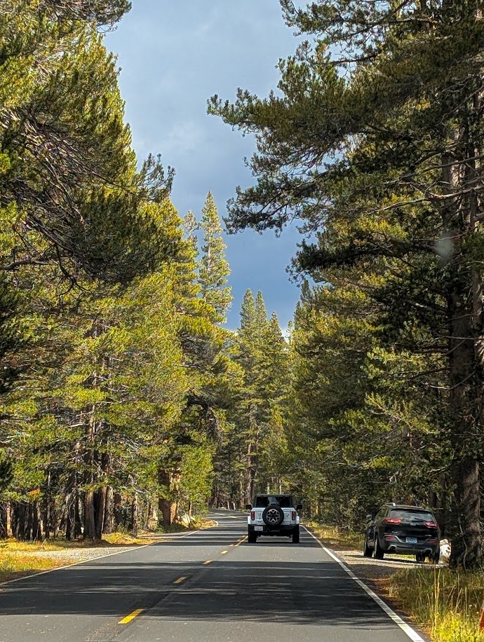 Driving through Yosemite Valley