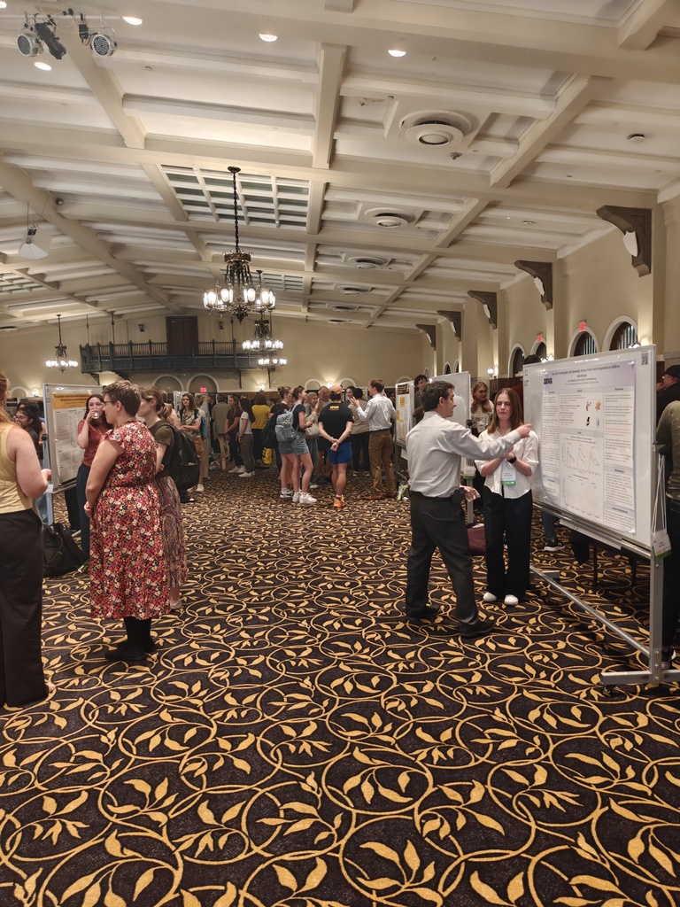 Presentations at SURF