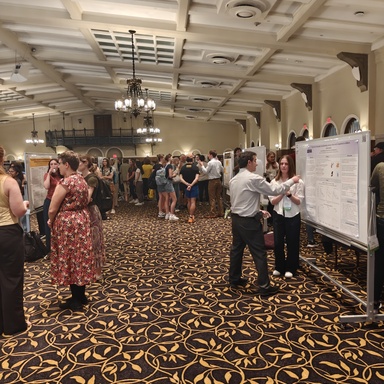 Presentations at SURF