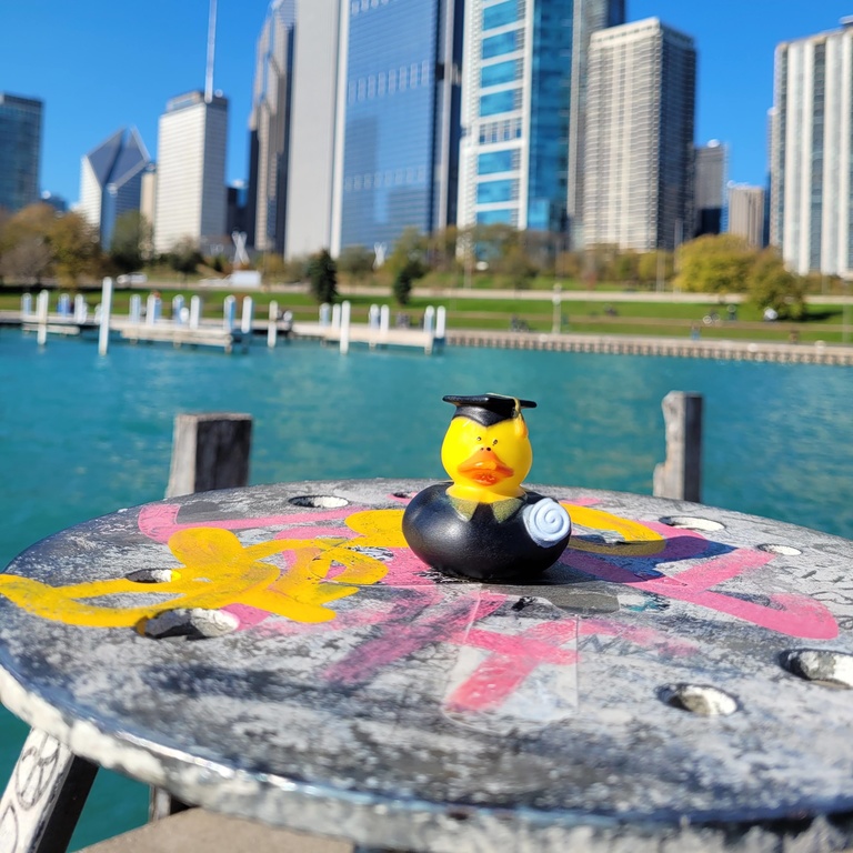 Study duck in scholarly garb with water and skyline in background