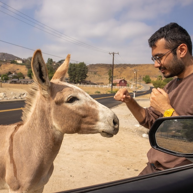 Hussam with a wild Burro in Riverside, CA