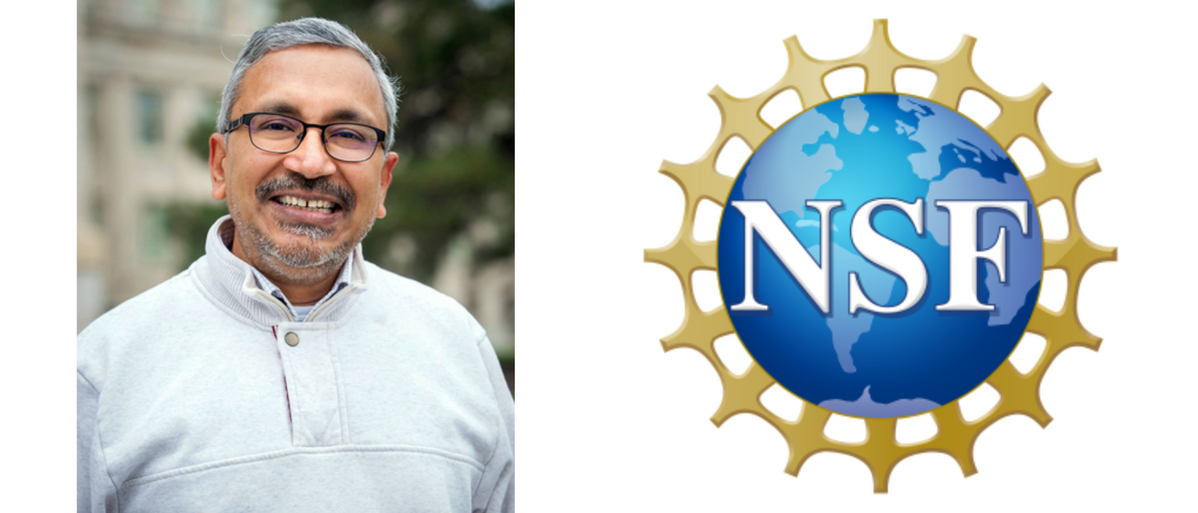 Face banner Pemmaraju NSF