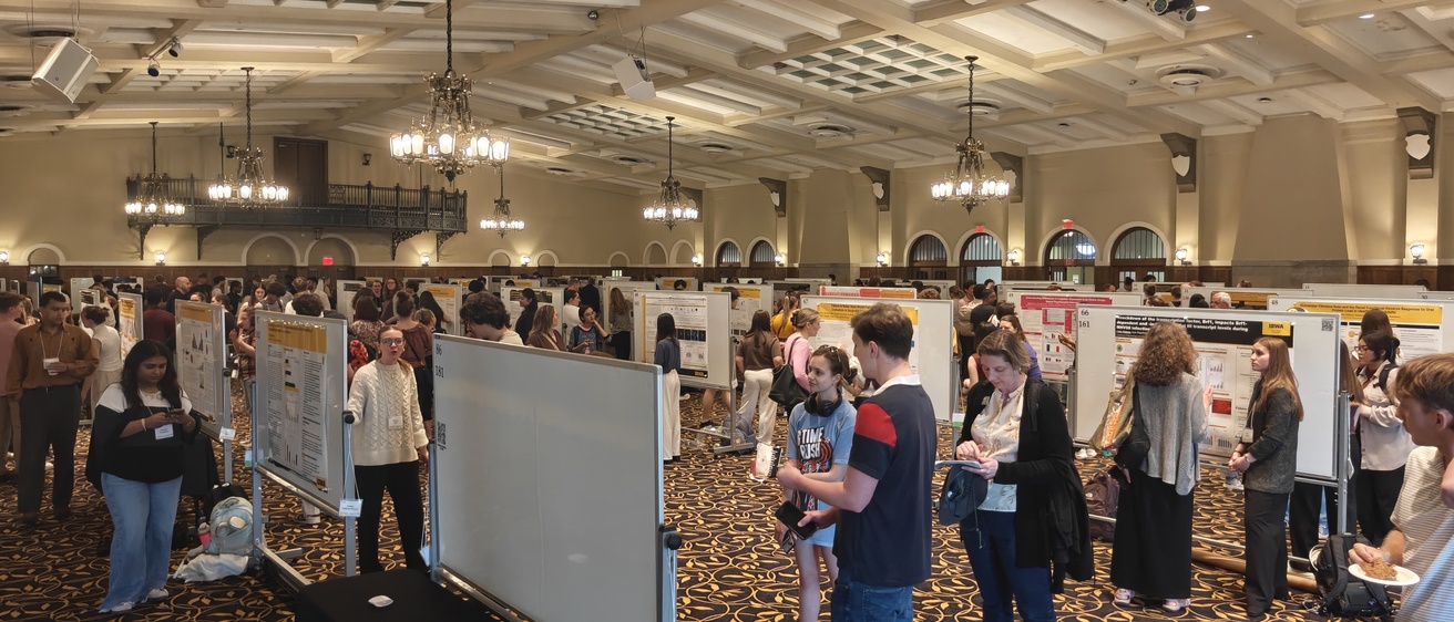 Presentations at SURF