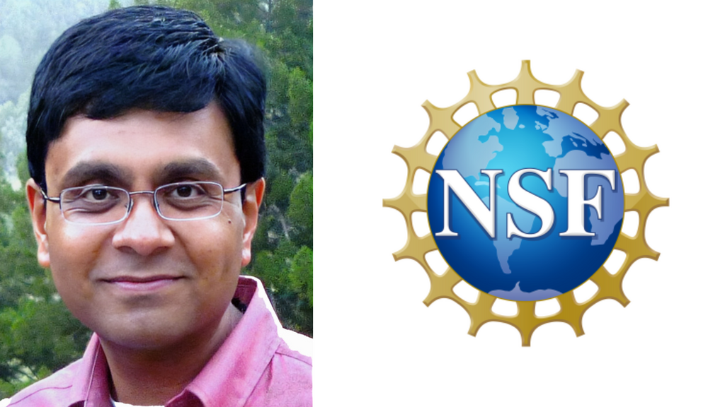 Banner of Singh and NSF