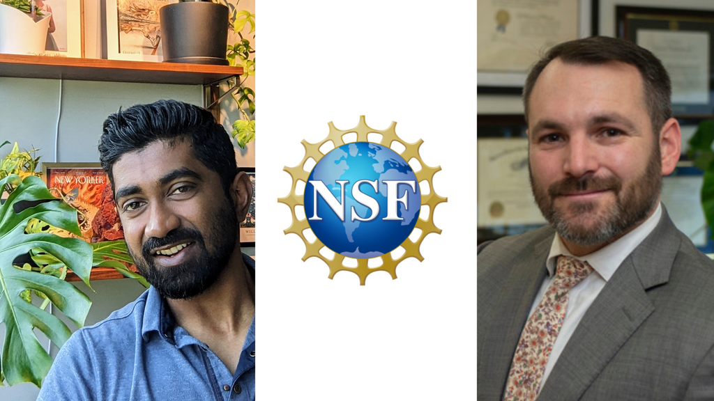 banner of Nithyanand and Diamantis