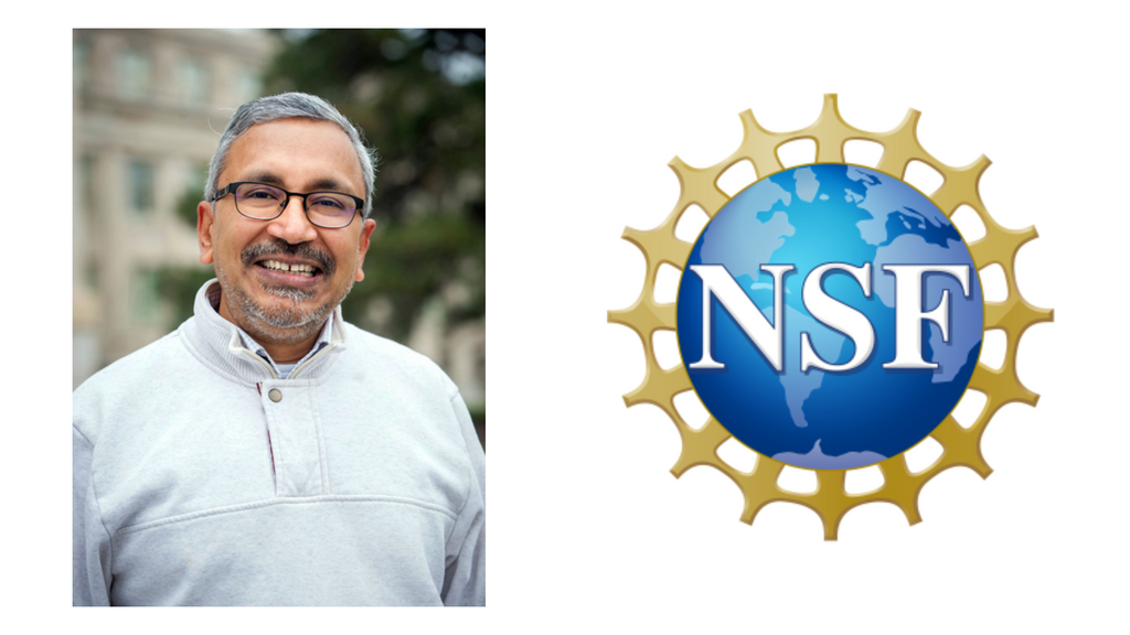 Face banner Pemmaraju NSF